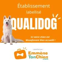 Alt à définir